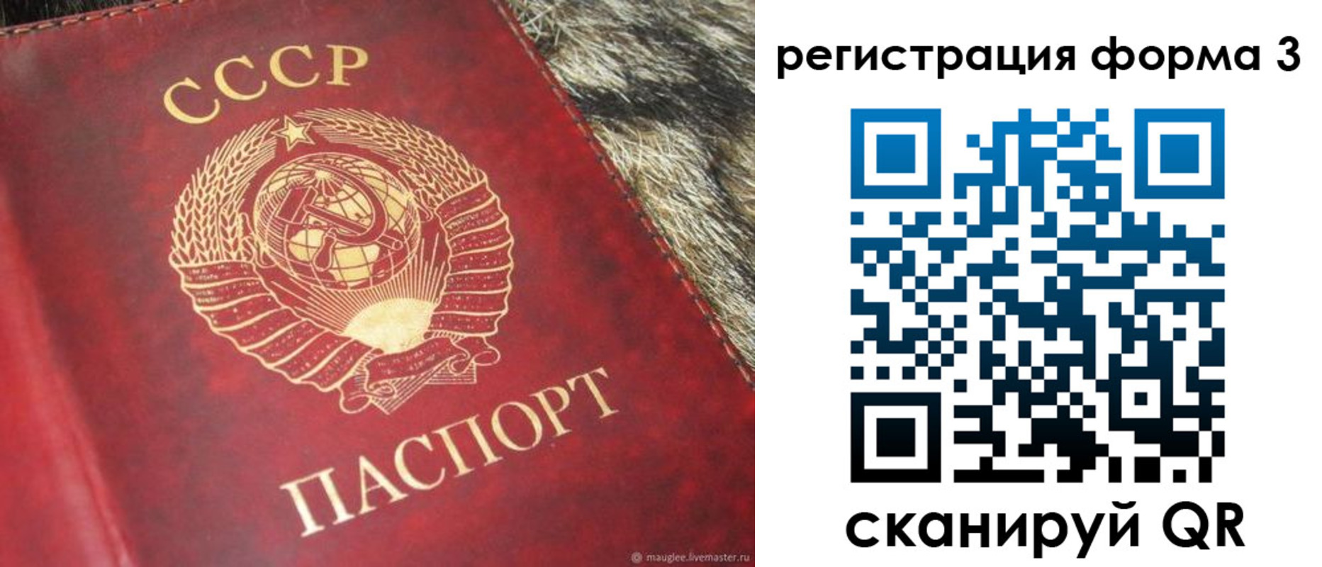 прописка регистрация в Заволжье